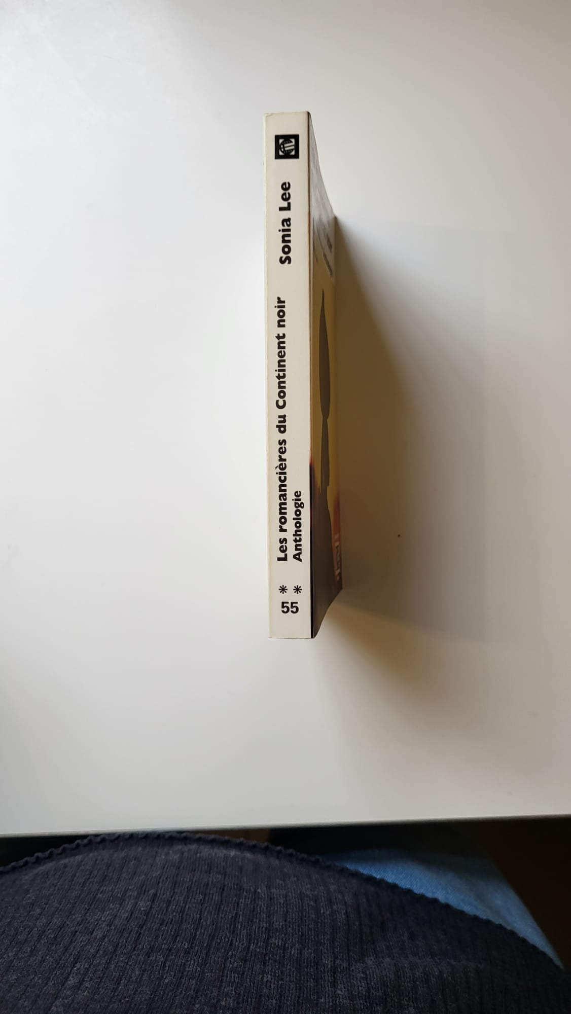 les romancières du continent noir