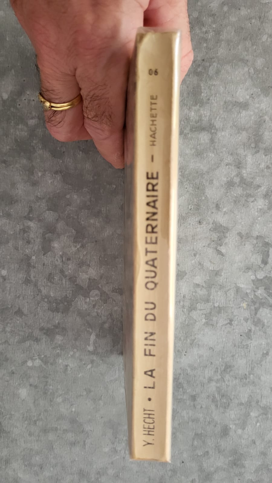la fin du quaternaire