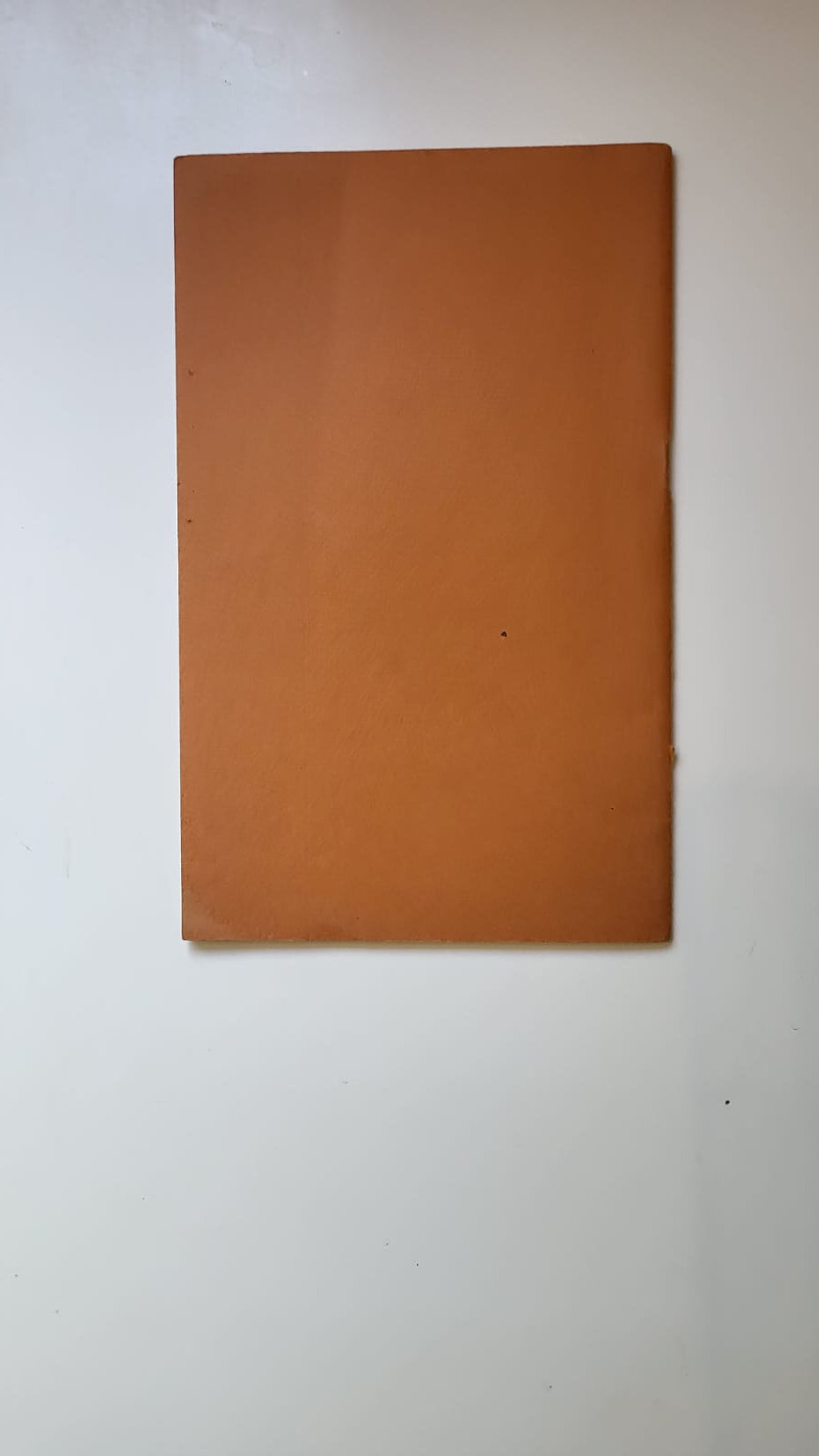 l'électro-choc Bodon