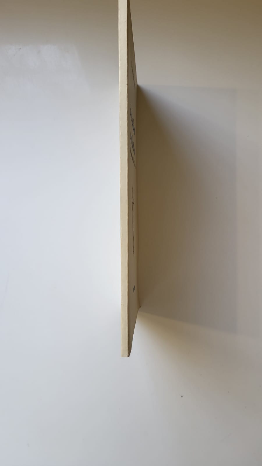 des enfants sur la terre