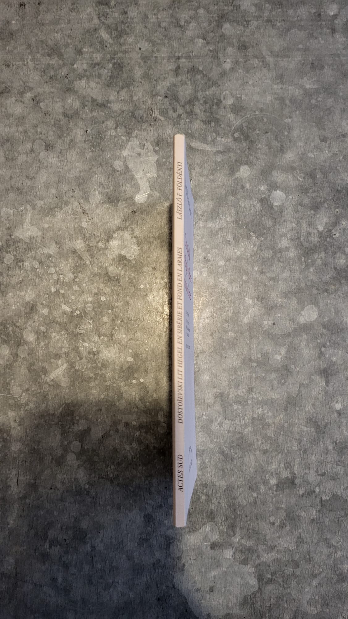 dostoievski lit hegel en siberie et fond en larmes