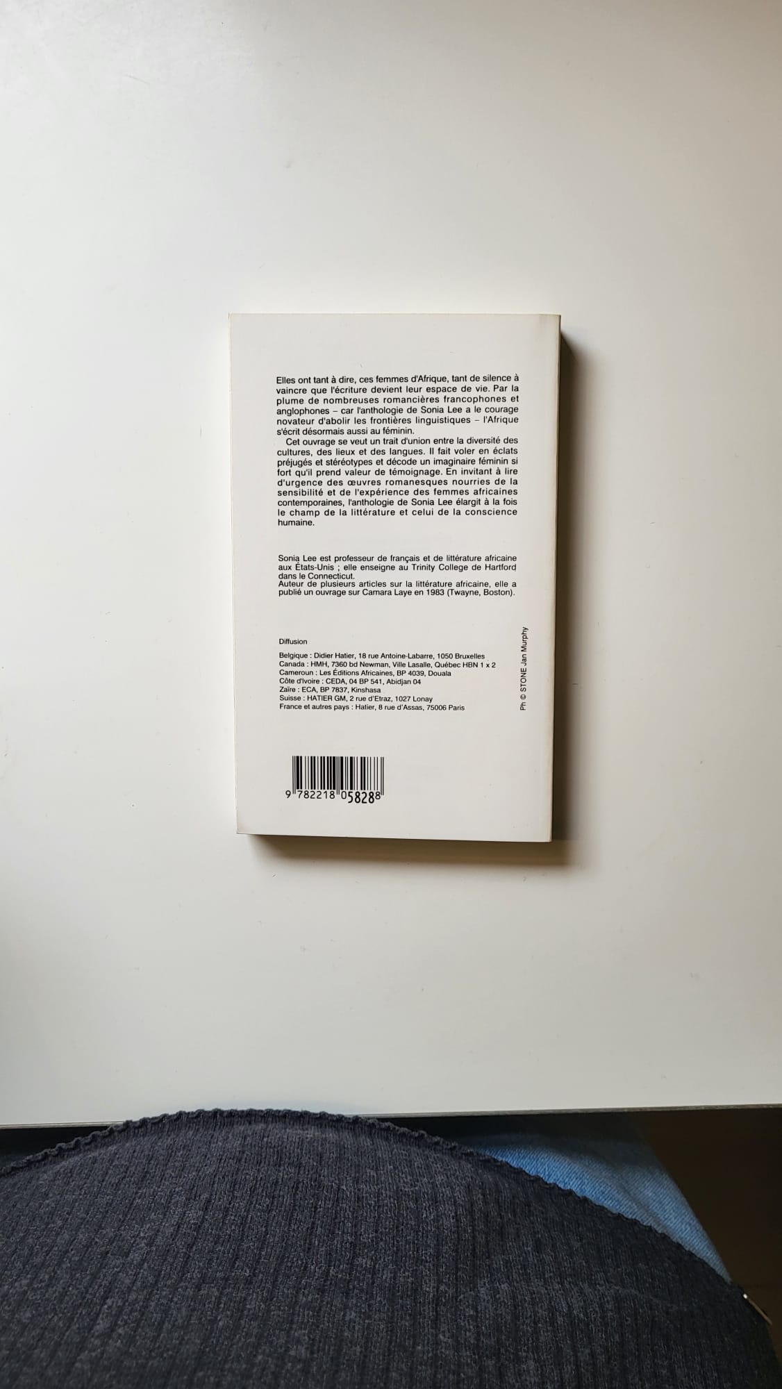 les romancières du continent noir