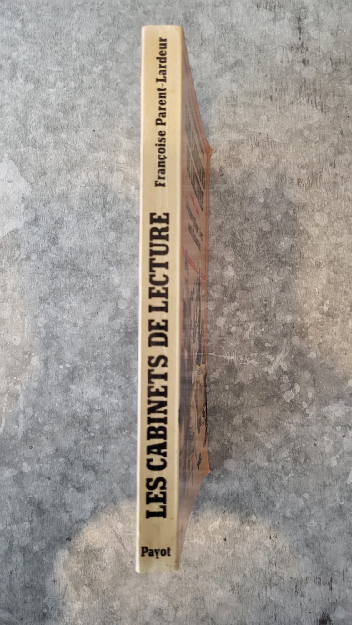 les cabinets de lecture