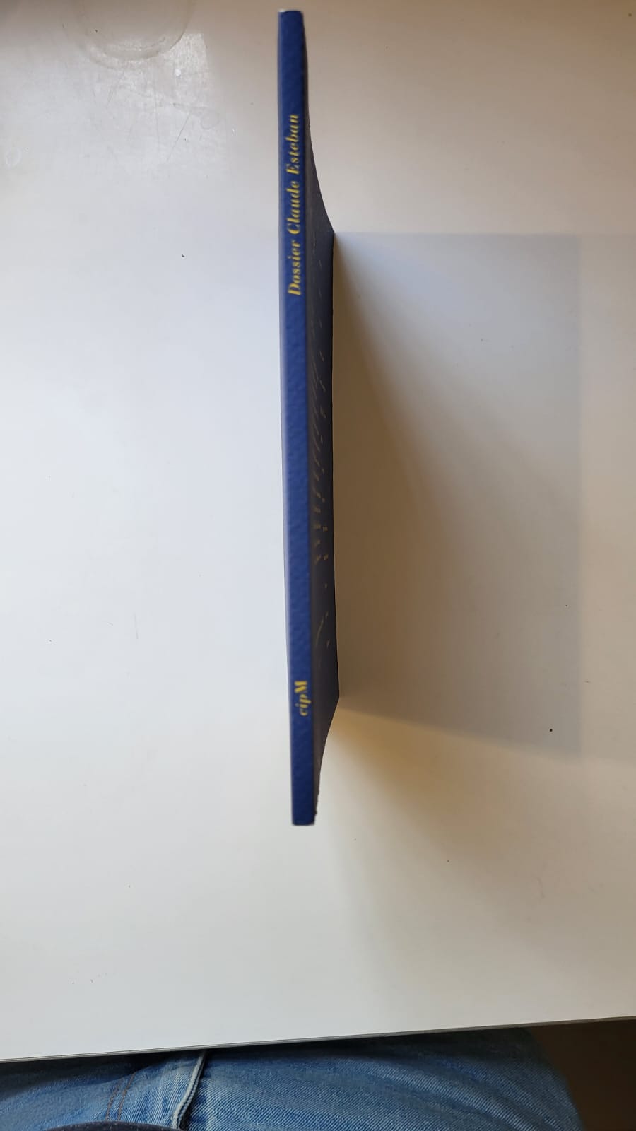 C C P cahier critique de poésie