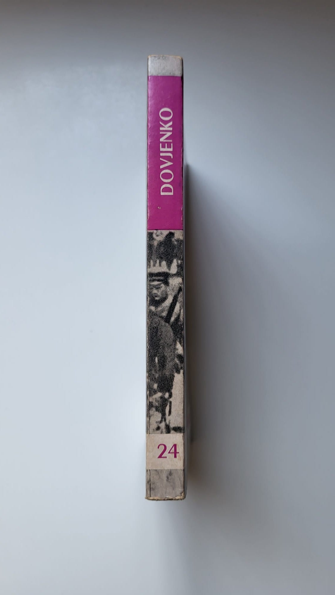 Dovjenko par Luda et jean Schnitzer