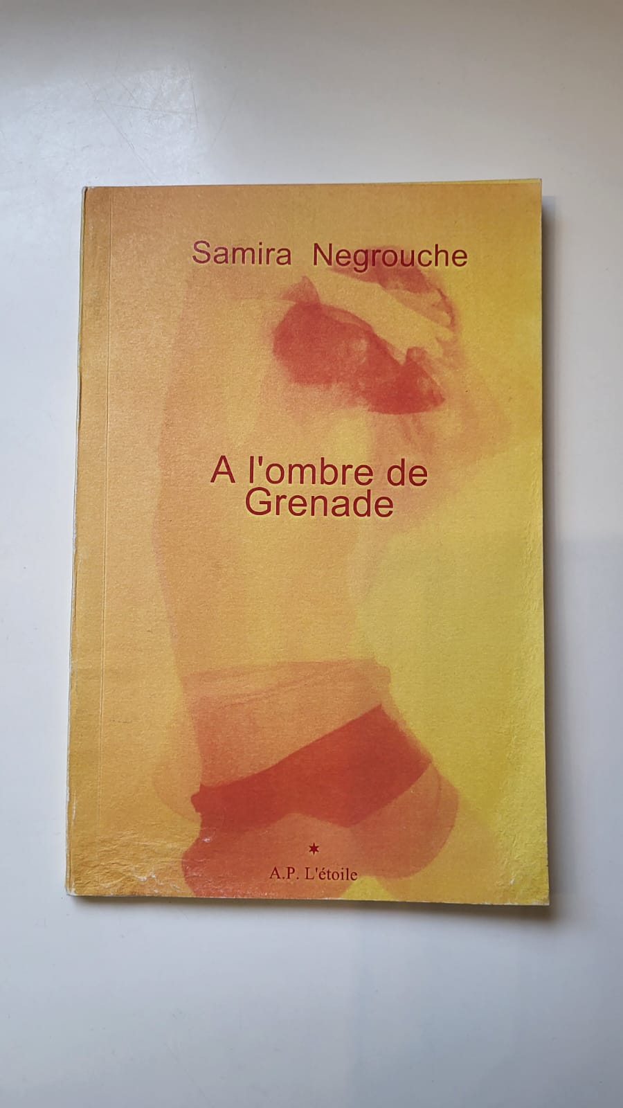 A l'ombre de Grenade