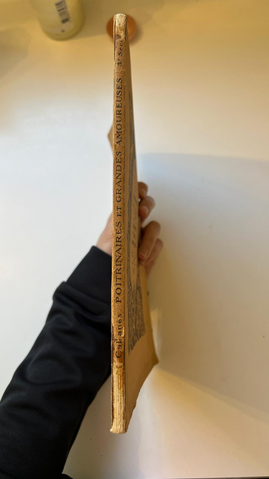 Poitrinaires et grandes amoureuses