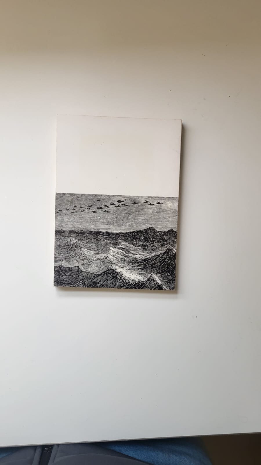 lo radeu de la medusa