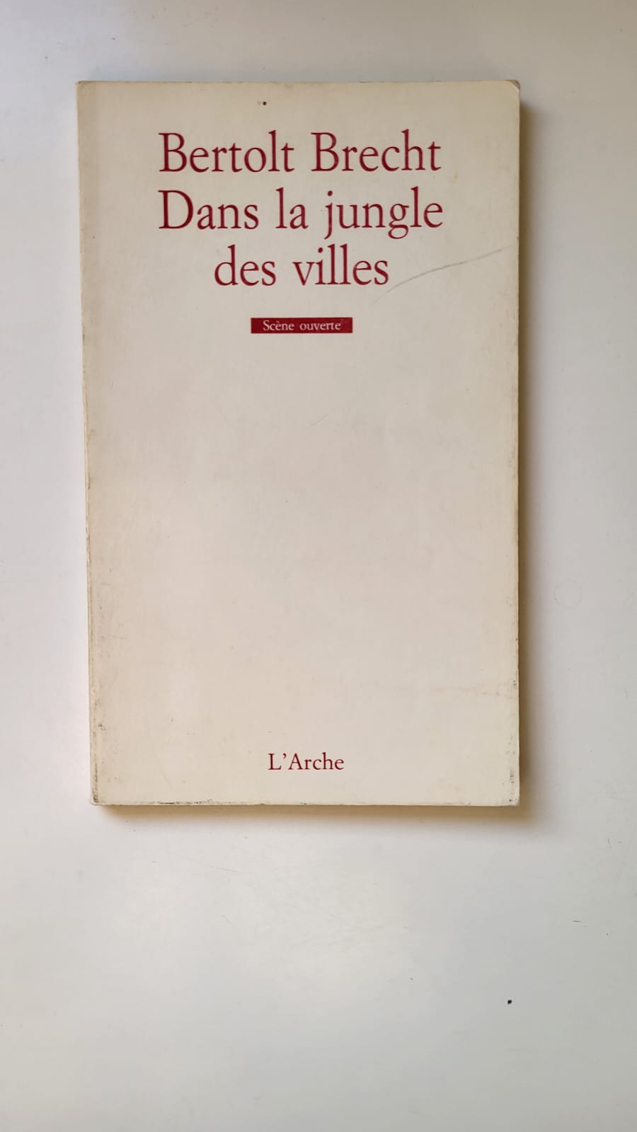 Dans la jungle des villes