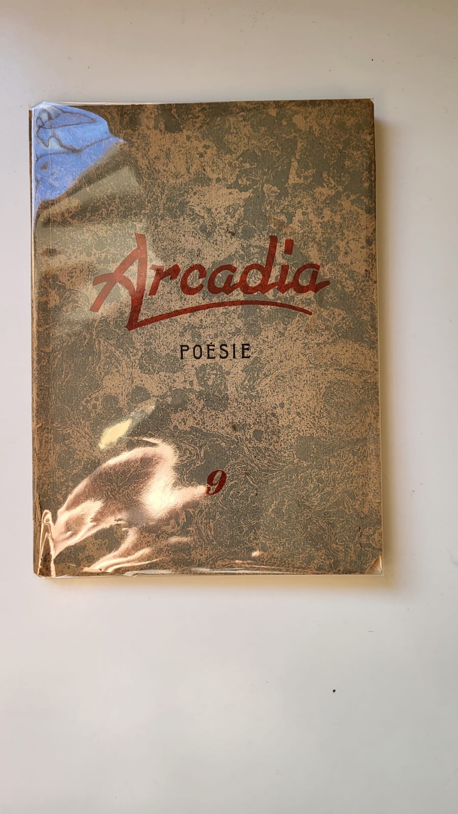 Arcadia 9