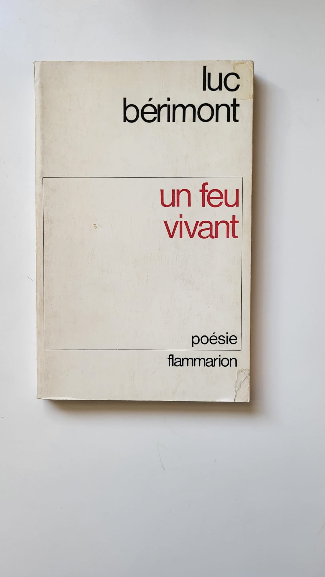 un feu vivant