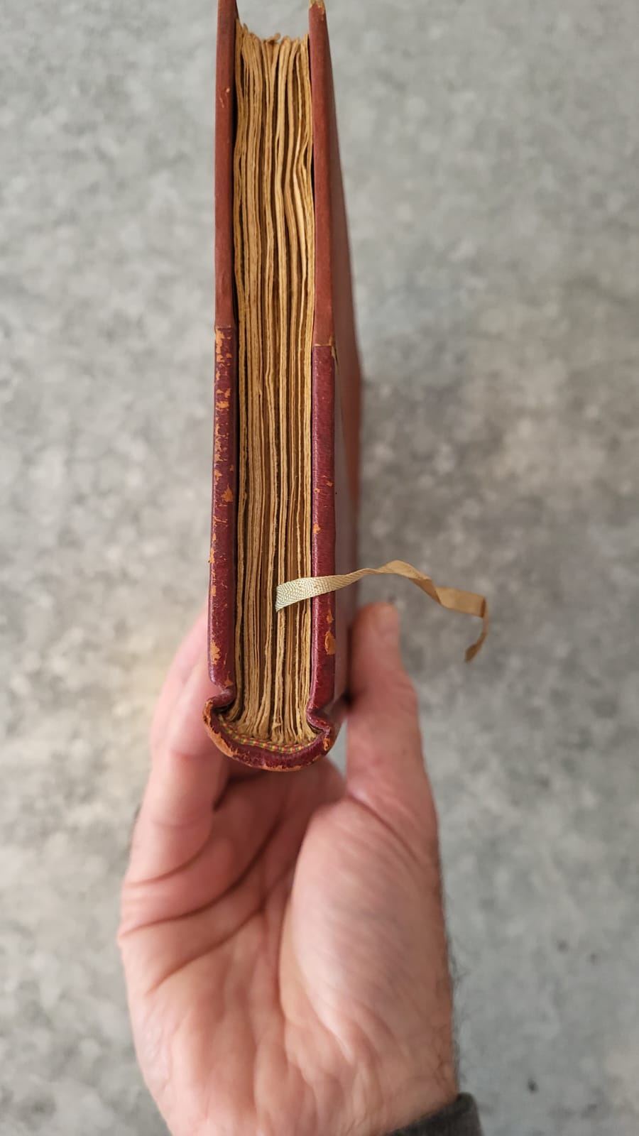 Les nourritures terrestres