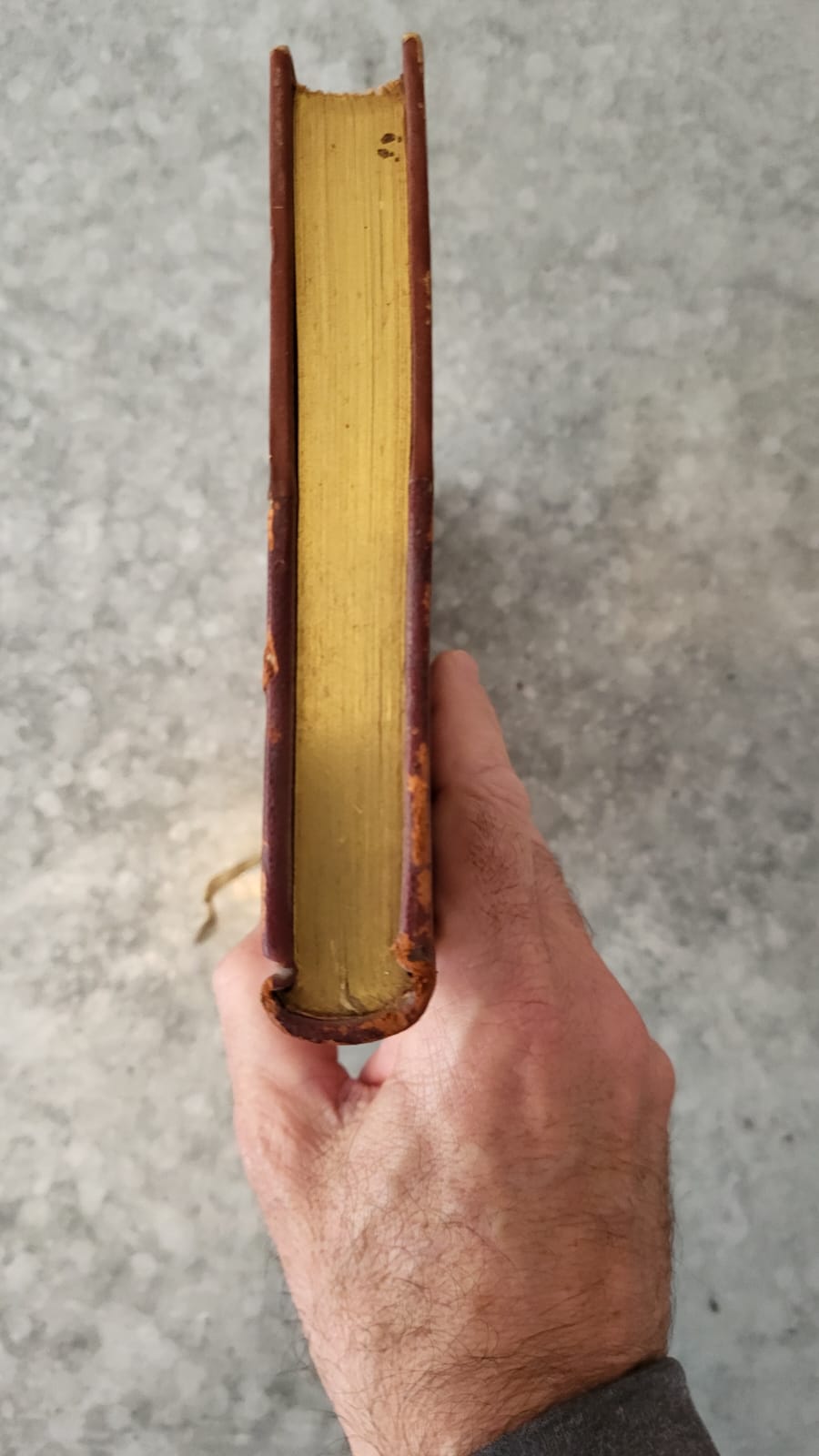 Les nourritures terrestres