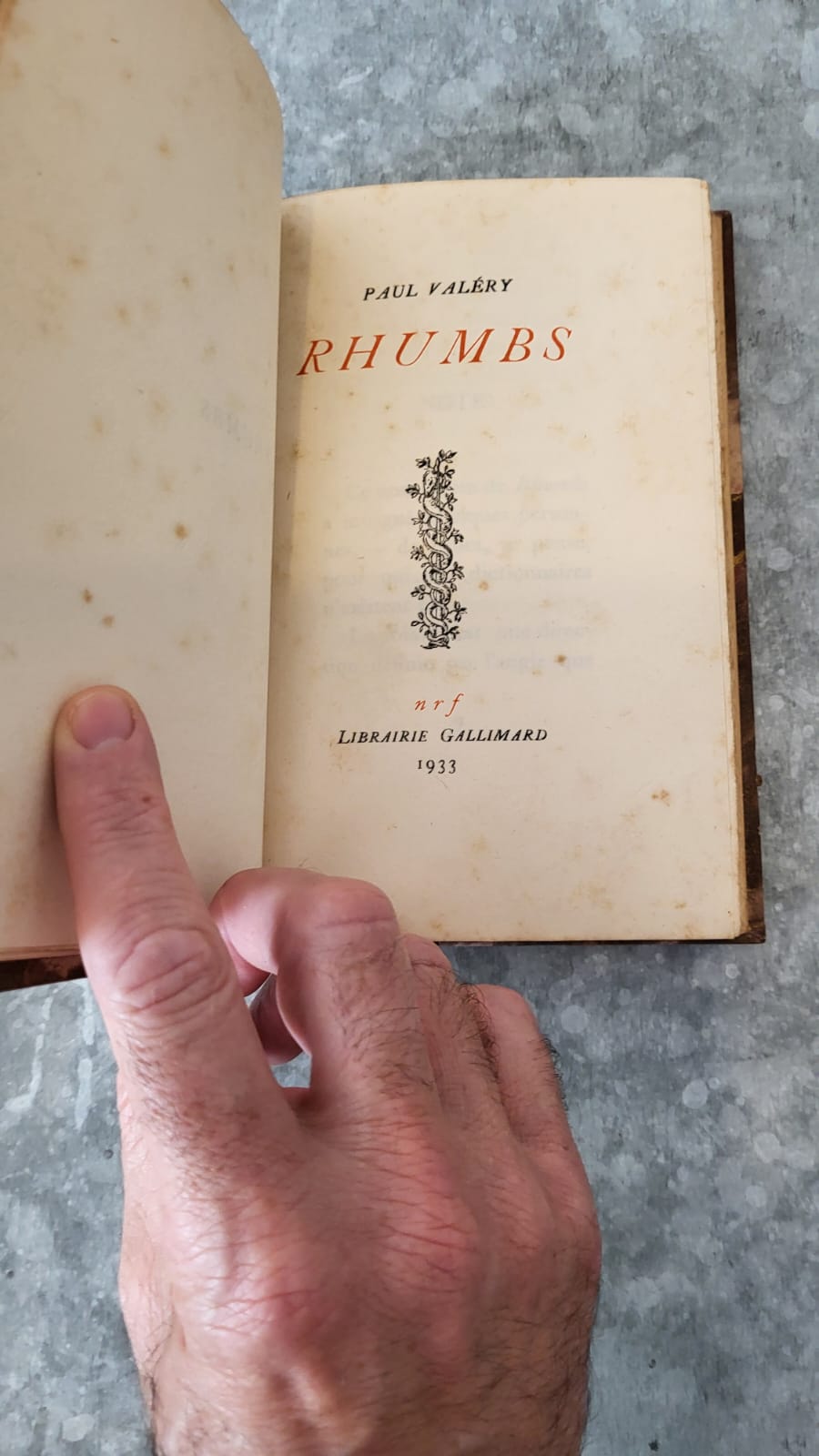 Rhumbs