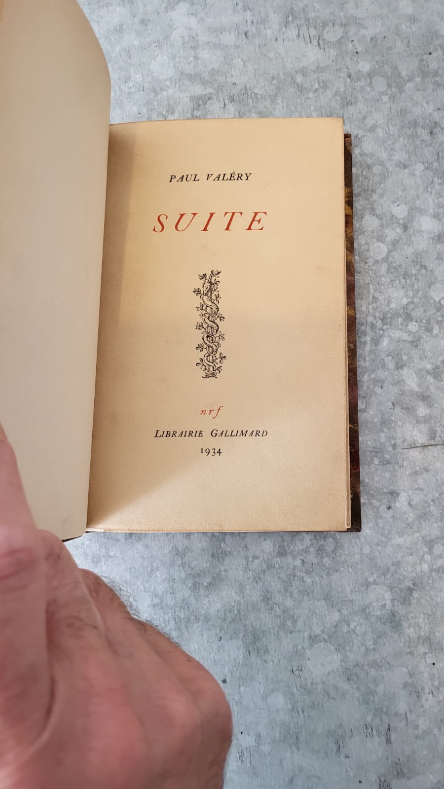 Suite