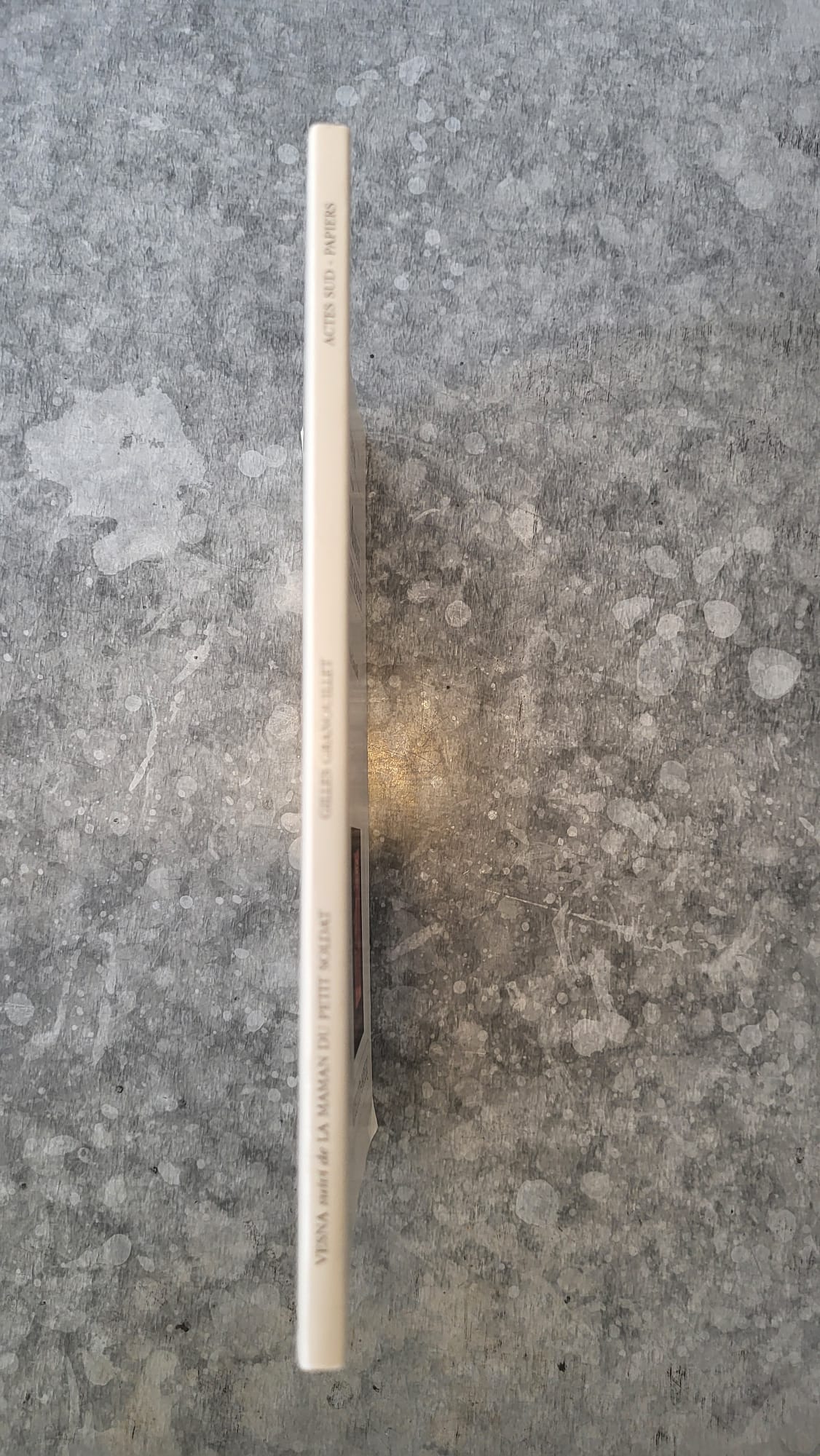 vesna la maman du petit soldat