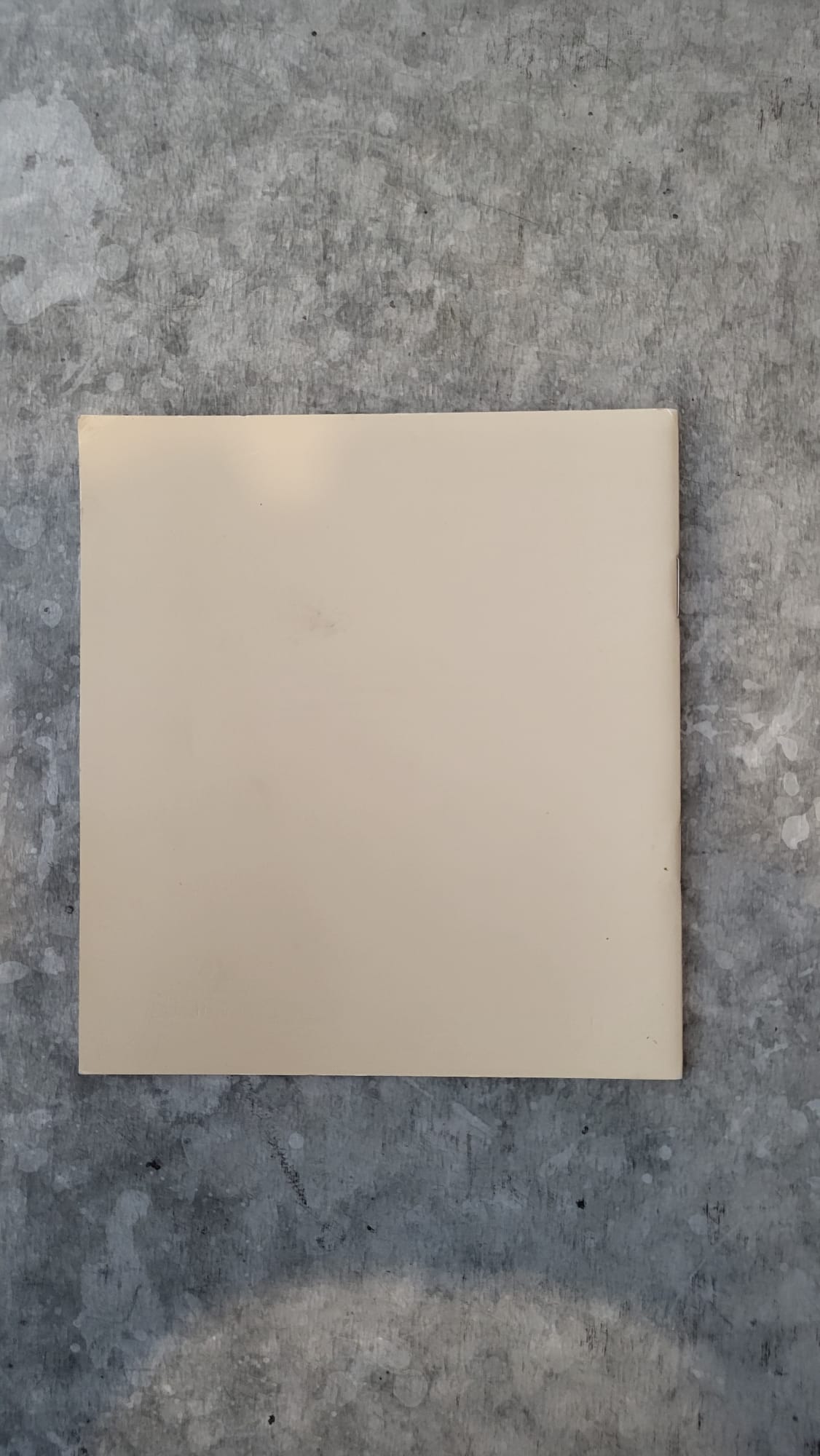 territoires occupes camp de deishe