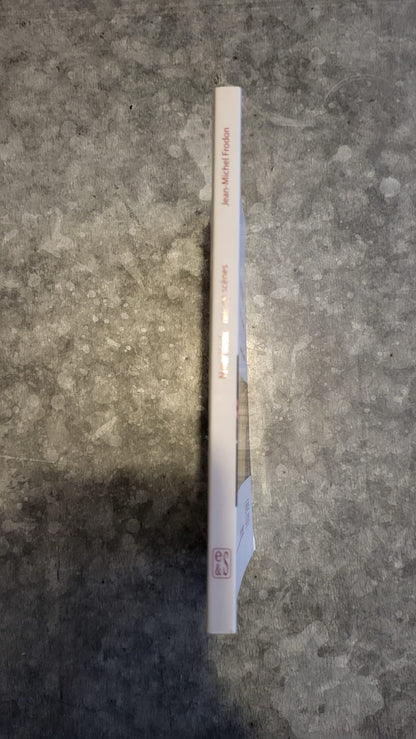 new york mis en scenes