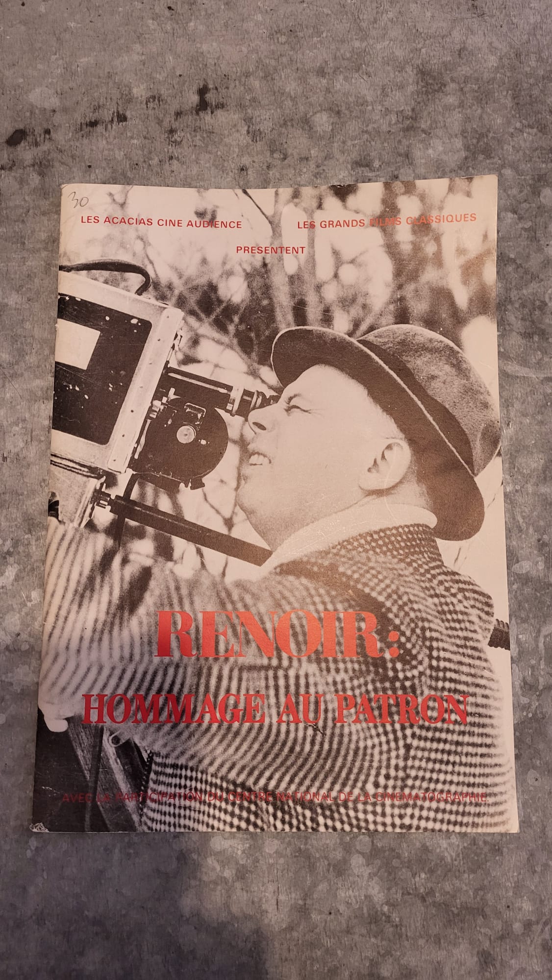 renoir hommage au patron
