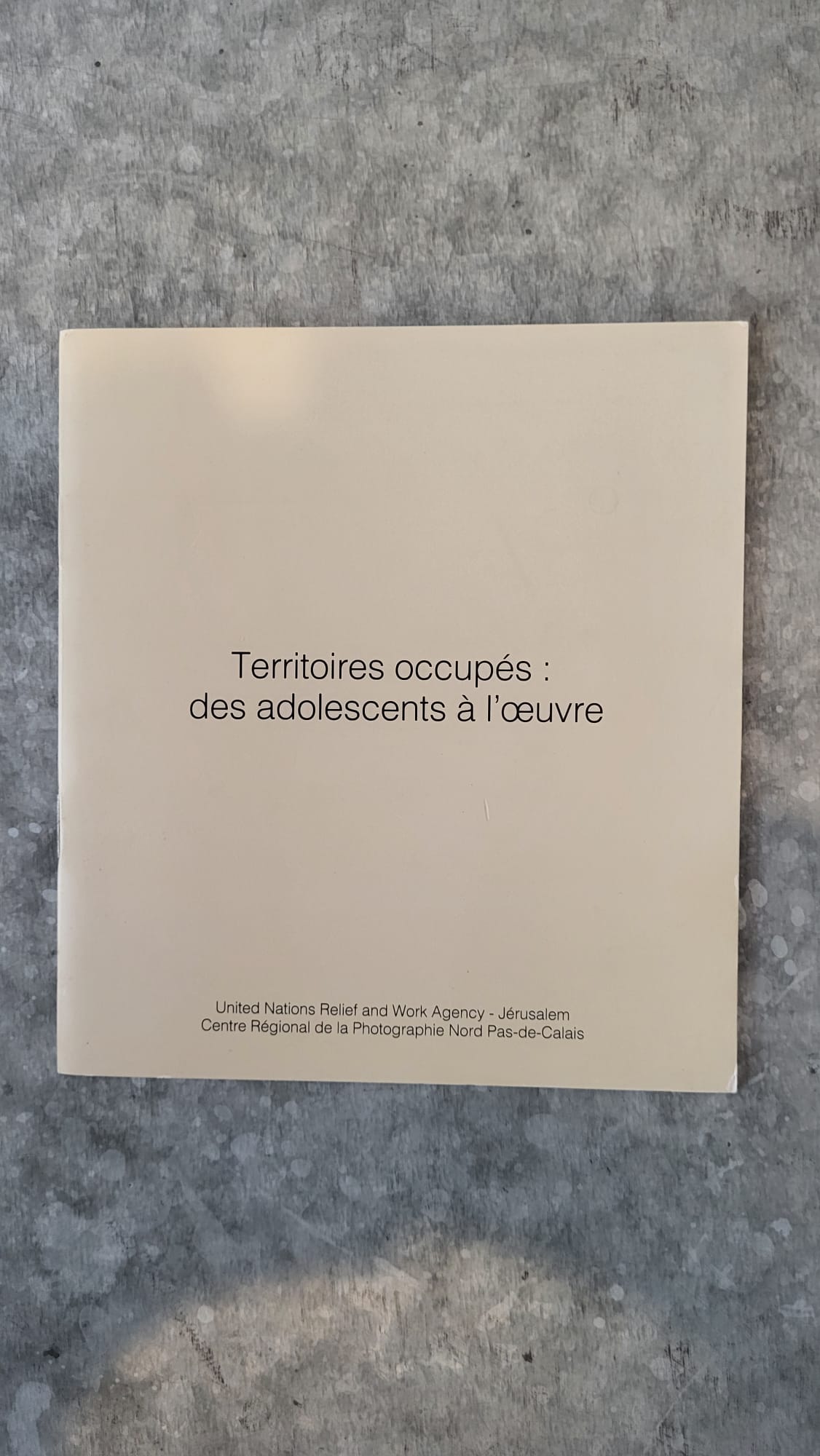 territoires occupes camp de deishe