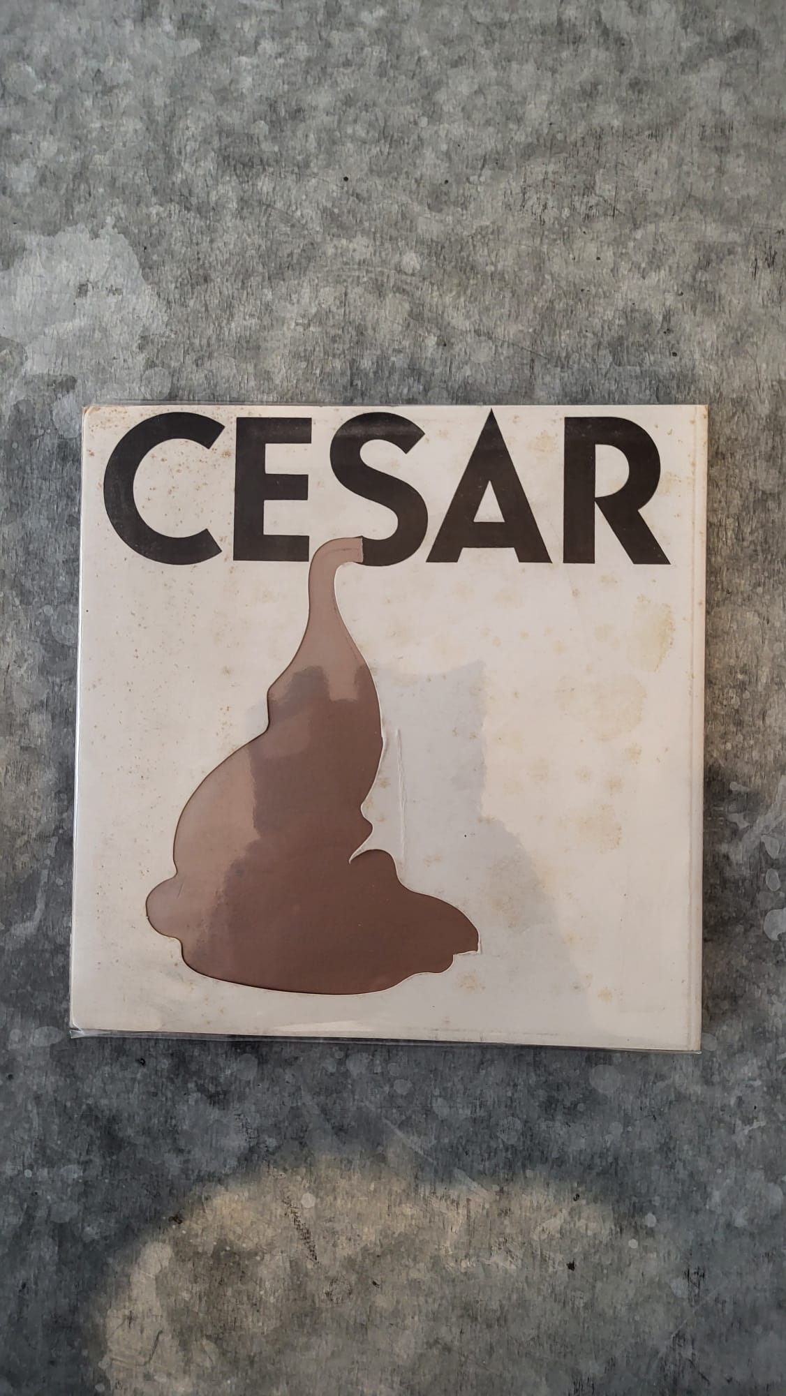 Cesar