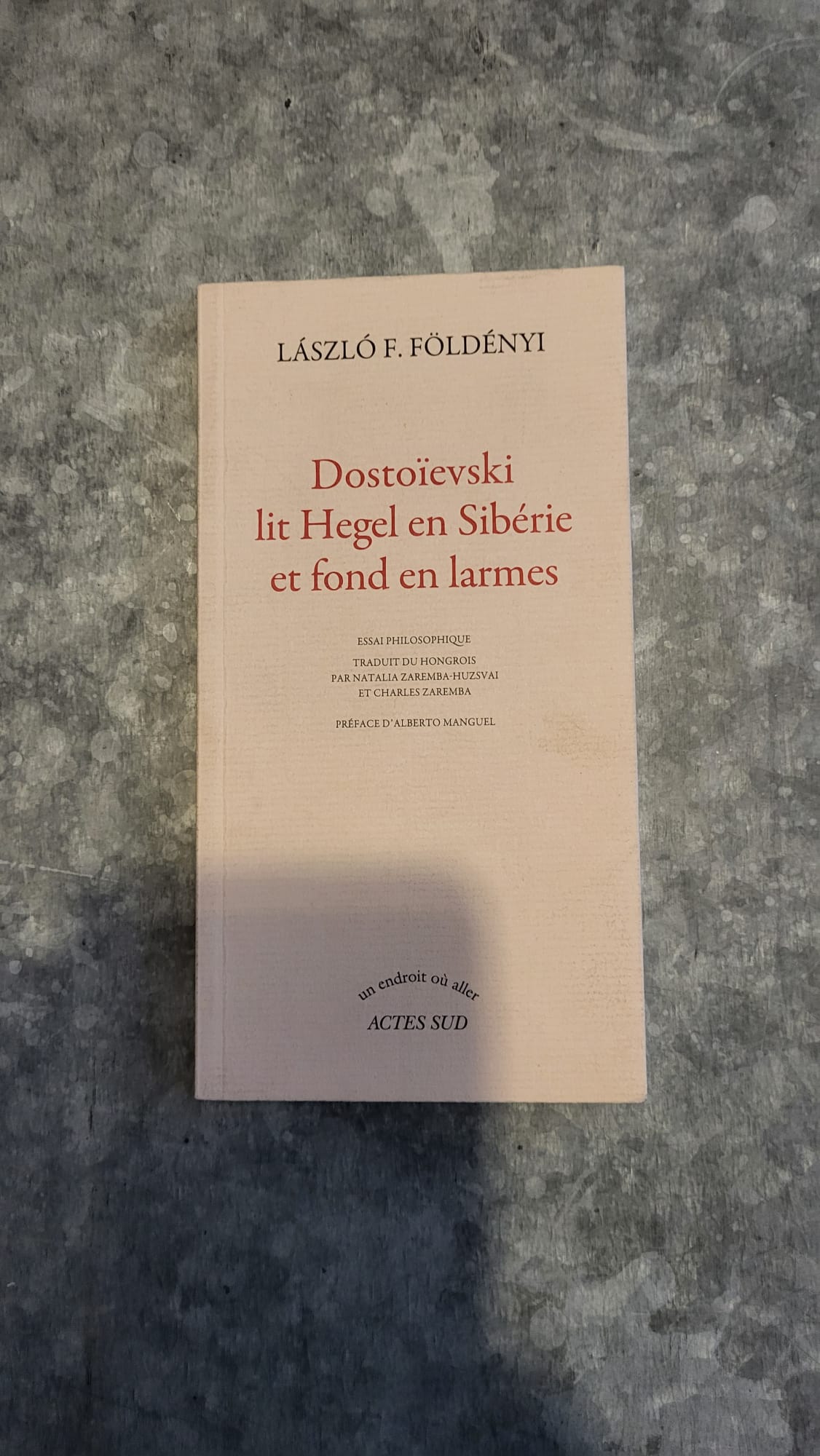 dostoievski lit hegel en siberie et fond en larmes