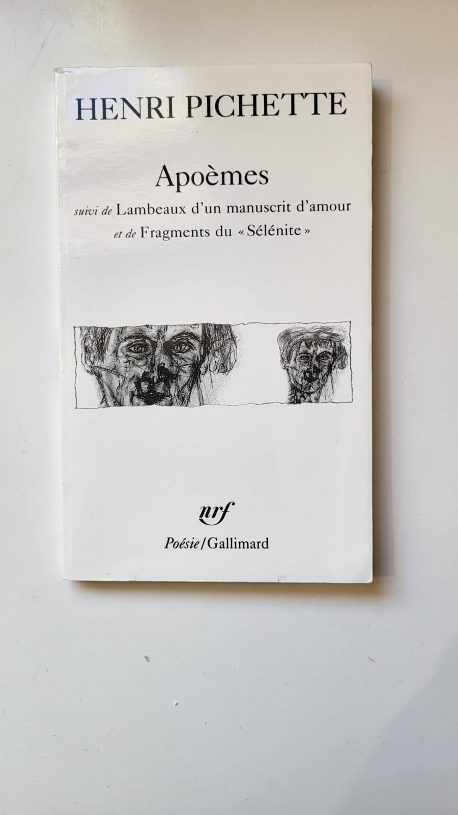 Apoèmes