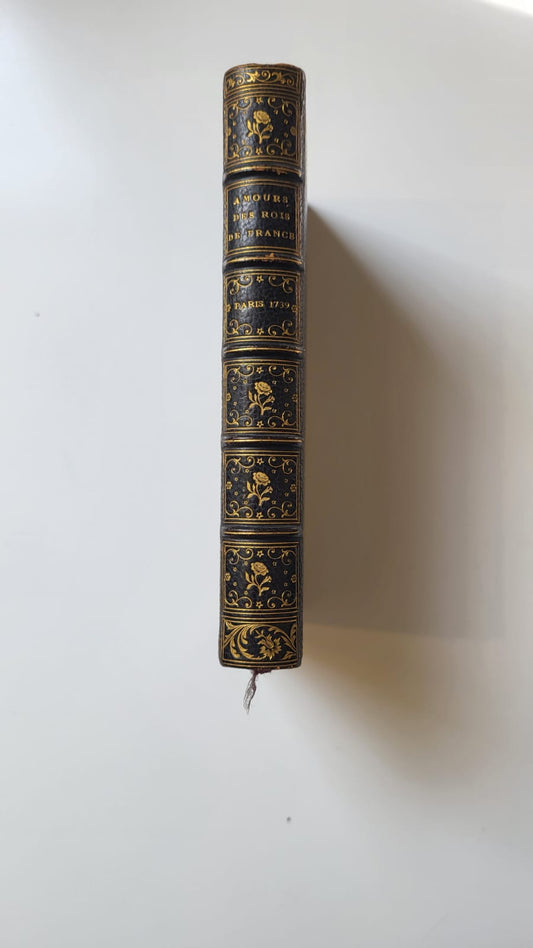 Mémoires historiques et secrets, concernant les amours des rois de France