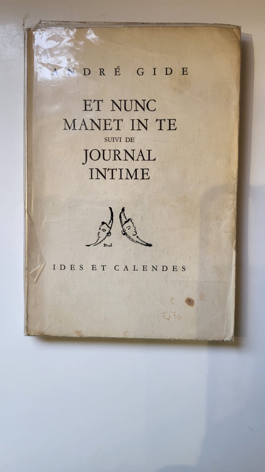 et nunc manet in te journal intime