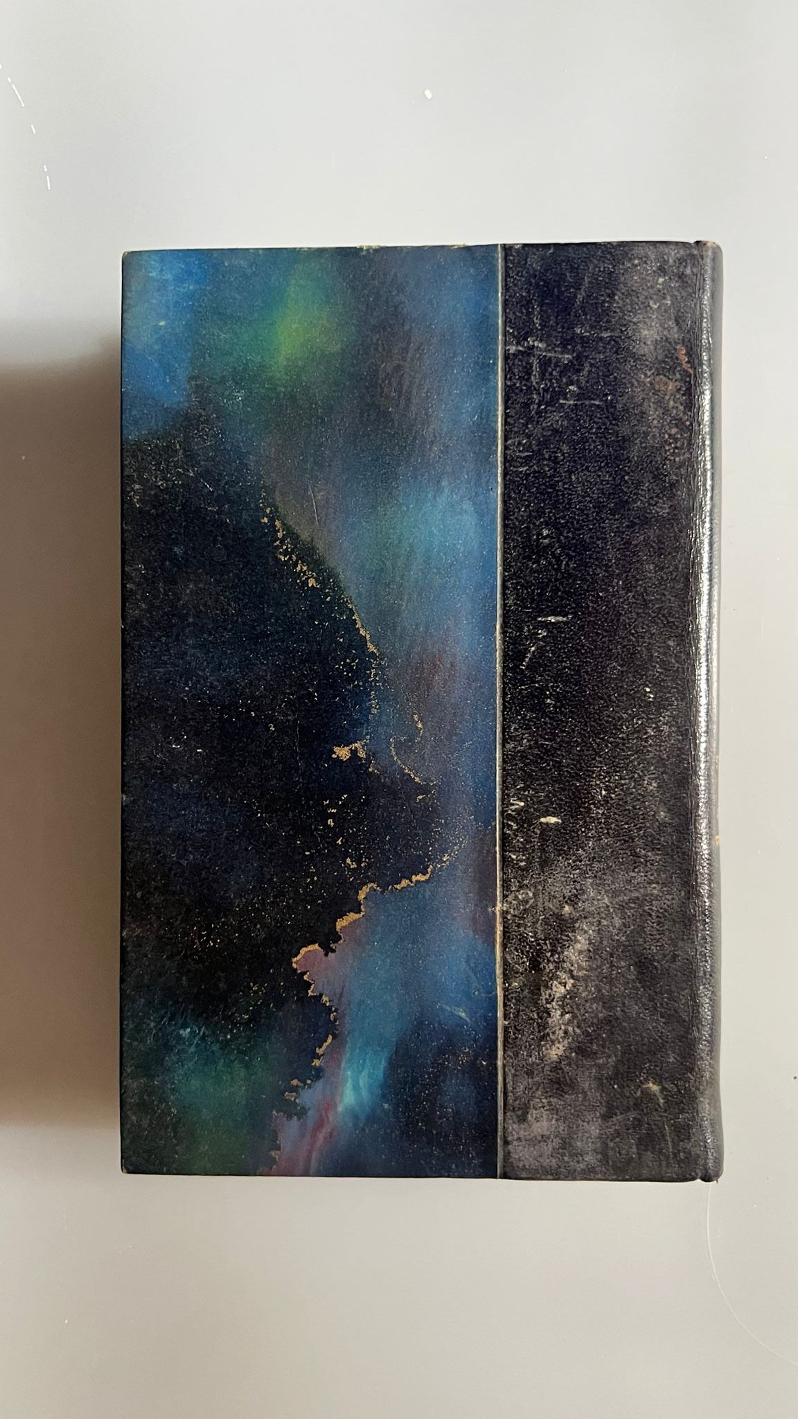 Les merveilles de l'instinct chez les insectes