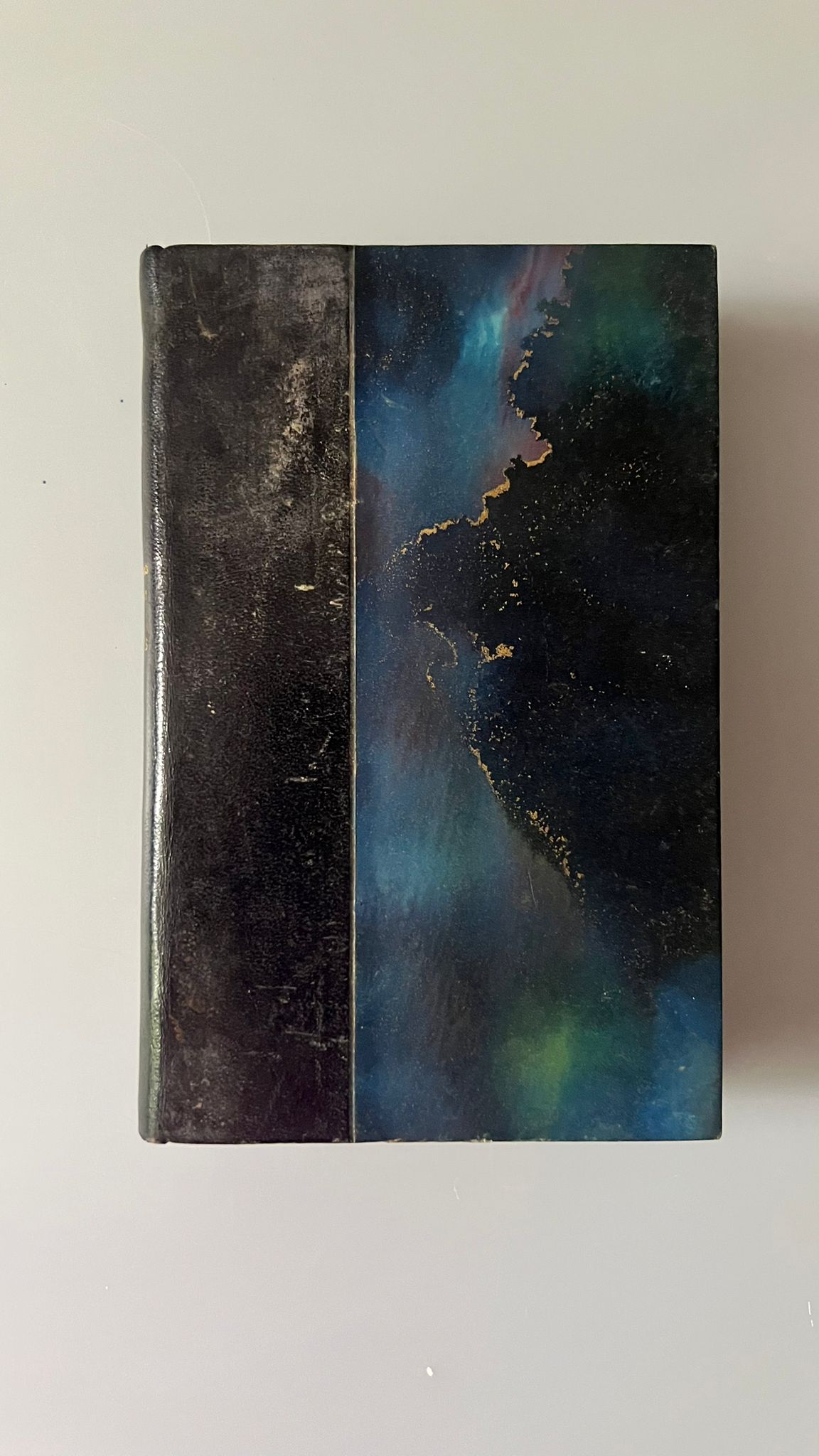 Les merveilles de l'instinct chez les insectes