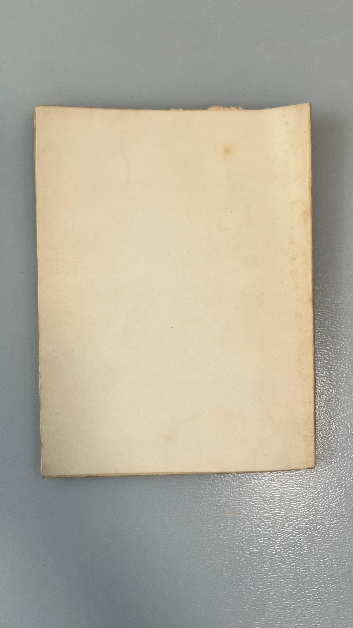 Erasme ou l'éloge de la tolérance