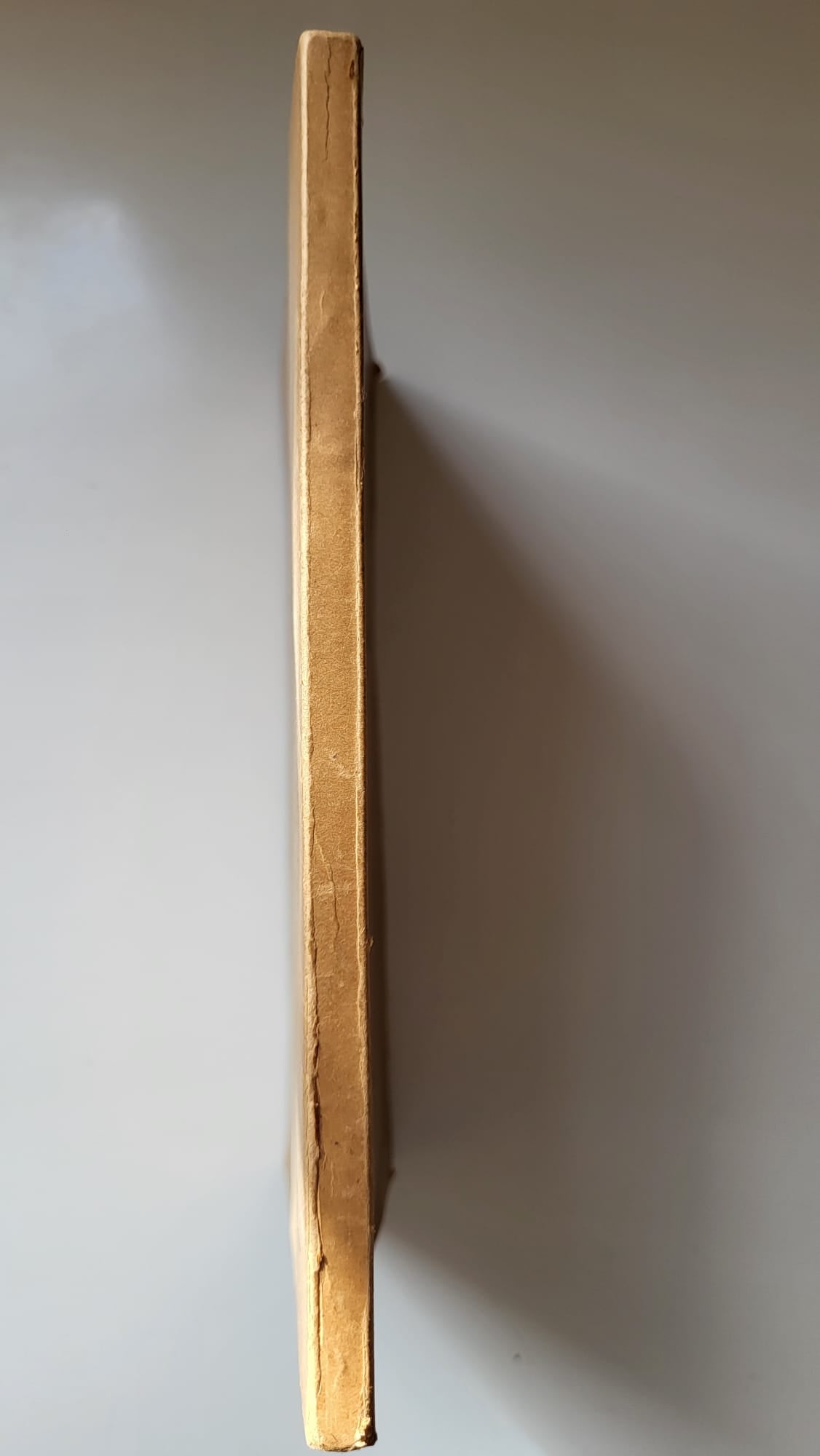 dictionnaire des mots caches