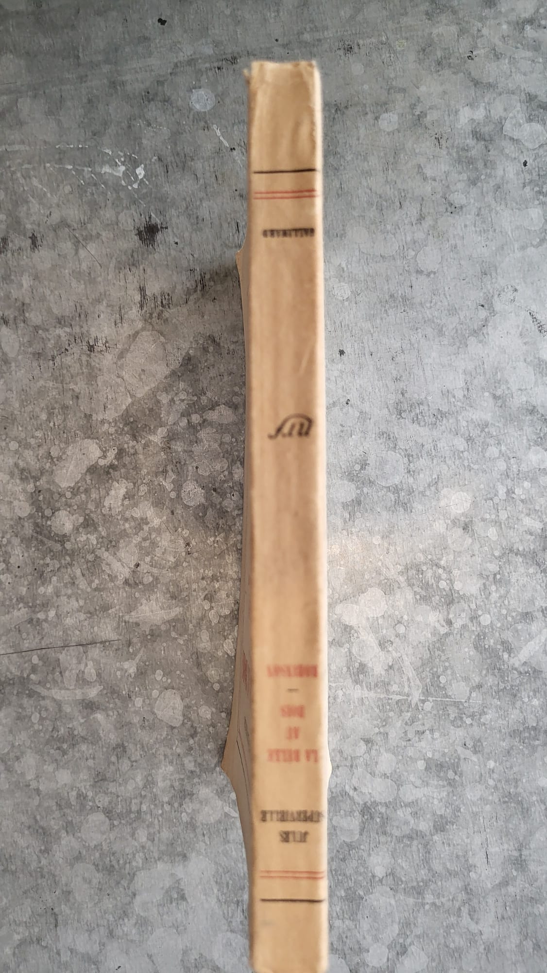 la belle au bois
