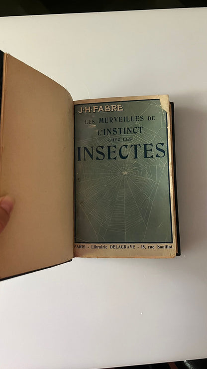Les merveilles de l'instinct chez les insectes